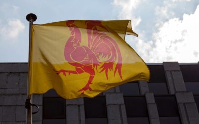 Pourquoi les Wallons doivent soutenir le Vlaams Belang ?