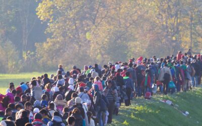 Le Grand Remplacement explose: 113.000 habitants de plus du fait de la migration